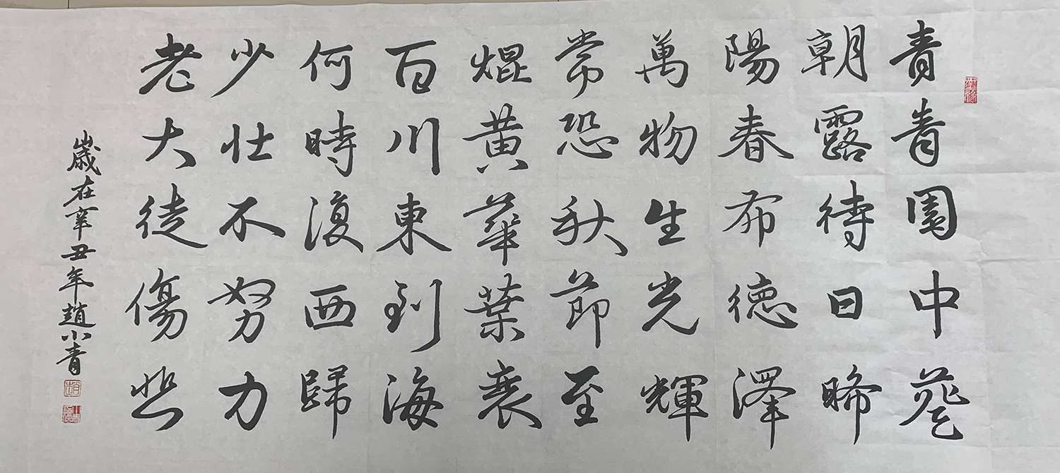 27、税务赵小青-汉乐府长歌行